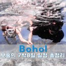 비큐(BQ) | 보홀 자유여행 일정 7박 8일｜나팔링·발리카삭 보홀 프리다이빙 위주 동선정리