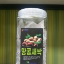 웰빙시대.건강백화점 이미지