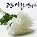 ●부고● 만원릴레이를합니다. 이미지