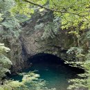 두 Y자(평일) | [경기도 포천-한탓강]한탄강 세계지질공원 비둘기낭폭포 &amp; Y자 출렁다리 탐방기