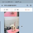 위더스동물병원 이미지