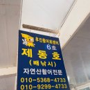 찌니네생선가게