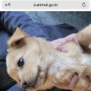 관악연세공감치과의원