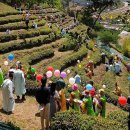 회천농장 이미지