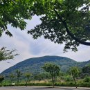 [프레스센터 기자회견과 조경철 박사-(5)] 이미지