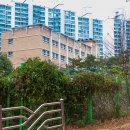 심곡초등학교 앞 이미지