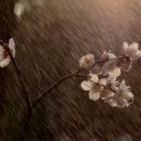 게임아이디 이미지