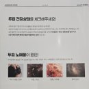 시흥 은계지구미용실 여성탈모걱정끝 26도헤어공감하우스