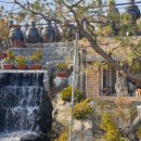 대성민물매운탕 이미지