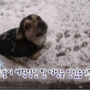 금숙농장 네이버블로그