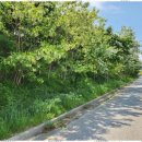 스타비치 펜션 이미지