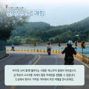 모도리어촌체험휴양마을 네이버블로그
