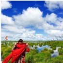 신비무역 이미지