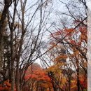 보운농장 이미지