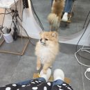 윤승룡헤어