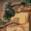 부산한약품 이미지