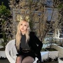 로제 이미지