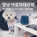 반려동물아로마테라피 입문! 펫 프렌들리 FLUFF 강아지캔들 고양이캔들 후기