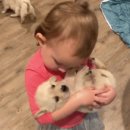 로얄산후조리원(봉천점) | 관악구 산후조리원 / 로얄사임당 vs 카리스 방문상담 후기