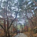 구미시추모공원 | ●구미 금오산