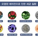 더존약국 이미지