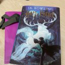 신선식 | 포르투갈 여행 3일 차_비 오는 날 포르투, 파두 공연 추천