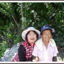 인태농장 이미지