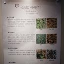 약령시로 | 약령시한의학박물관 후기