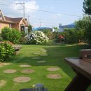 바우네 민박 이미지