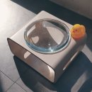 강아지 음수량 필수 췌에크! 노령견 건강을 위한 물그릇 교체 후기