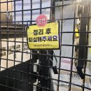 24시 타이거배팅센터