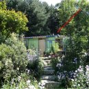 철원목장 이미지