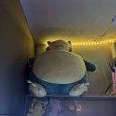 차차차노래방 이미지