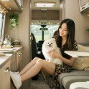 ㈜브이카 | 캠핑카 제작 업체 추천 TOP5 🚐 믿고 맡길 수 있는 국내 브랜드는?