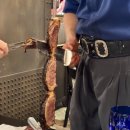 매여로 | 2025 MZ 문화 호소인 코어 스케줄 정리