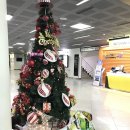 고양체육관 농구장2 이미지