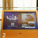 (주)스텔라오토모빌 이미지