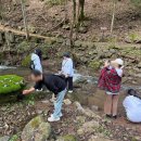 모음과나눔 | 마음모음의 따뜻한 나눔, 생명의전화 라임 상담원 힐링캠프 상담원의 마음도 누군가 돌봐야 하니까요