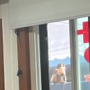주간일기 6회차 9월 둘째주 은주의 주간일기