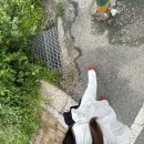 박민재세무사사무소