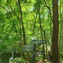 제823차 대구등고선산악회 토요정기산행 // 봉화 청옥산 // 9월 5일 토요일 // 05시 30분 법원 출발 이미지