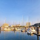 충무종합카 이미지