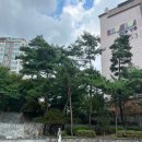 성모메디텍 이미지