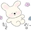 미힐(MEHL) 네이버블로그