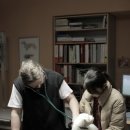 프라하동물병원 이미지