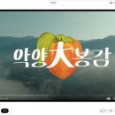대봉유통 이미지
