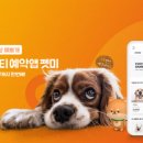 예쁘개 반려견미용샵 이미지