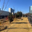 중앙공원 산책로 이미지