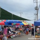 세화오일시장 이미지