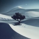 인생커피 이미지